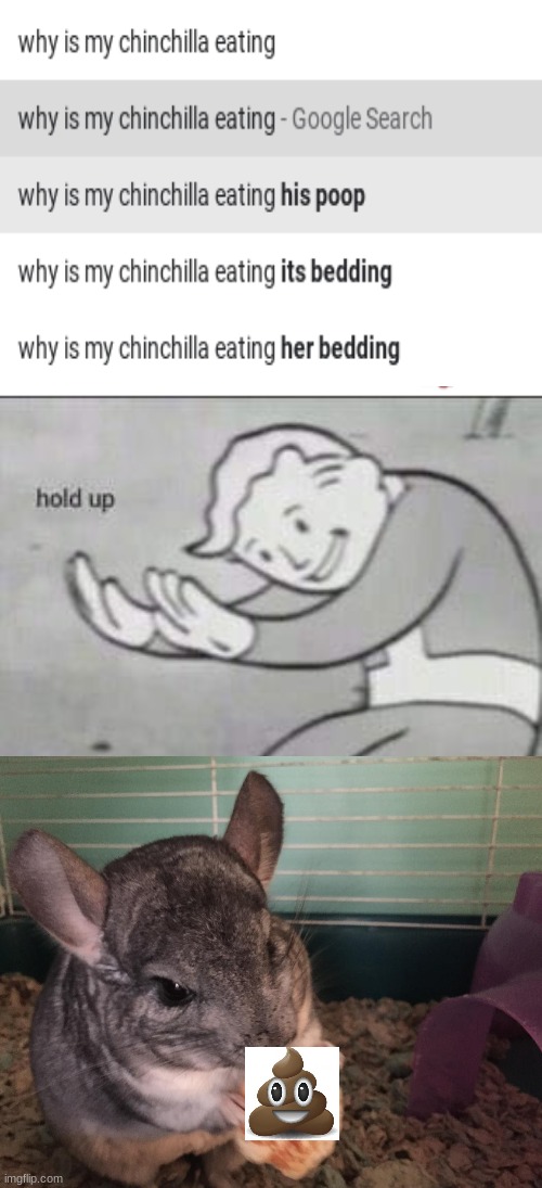 Hold up wait a minute | image tagged in fallout hold up,what | made w/ Imgflip meme maker