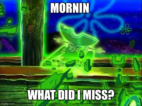 Flying Dutchman | MORNIN; WHAT DID I MISS? | image tagged in flying dutchman | made w/ Imgflip meme maker