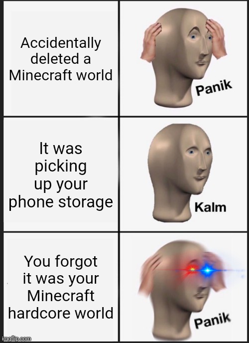 Accidentally deleted a Minecraft world It was picking up your phone storage You forgot it was your Minecraft hardcore world | image tagged in memes,panik kalm panik | made w/ Imgflip meme maker