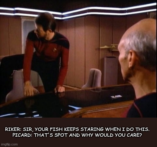 Star Trek: The Riker Generation | RIKER: SIR, YOUR FISH KEEPS STARING WHEN I DO THIS.
PICARD: THAT'S SPOT AND WHY WOULD YOU CARE? | image tagged in riker,star trek the next generation,star trek | made w/ Imgflip meme maker