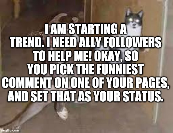 I just wanted to do something. | I AM STARTING A TREND. I NEED ALLY FOLLOWERS TO HELP ME! OKAY, SO YOU PICK THE FUNNIEST COMMENT ON ONE OF YOUR PAGES, AND SET THAT AS YOUR STATUS. | image tagged in trending,imgflip trends,oh wow are you actually reading these tags | made w/ Imgflip meme maker