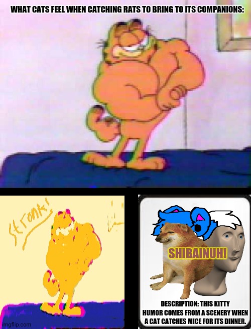 Muscular Garfield the Cat | WHAT CATS FEEL WHEN CATCHING RATS TO BRING TO ITS COMPANIONS:; SHIBAINUH! DESCRIPTION: THIS KITTY HUMOR COMES FROM A SCENERY WHEN A CAT CATCHES MICE FOR ITS DINNER. | image tagged in memes,cats share food,strong legs | made w/ Imgflip meme maker