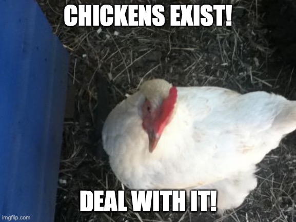 Angry Chicken Boss Meme | CHICKENS EXIST! DEAL WITH IT! | image tagged in memes,angry chicken boss | made w/ Imgflip meme maker