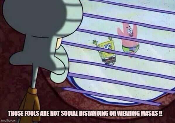 Squidward window | THOSE FOOLS ARE NOT SOCIAL DISTANCING OR WEARING MASKS !! | image tagged in squidward window | made w/ Imgflip meme maker