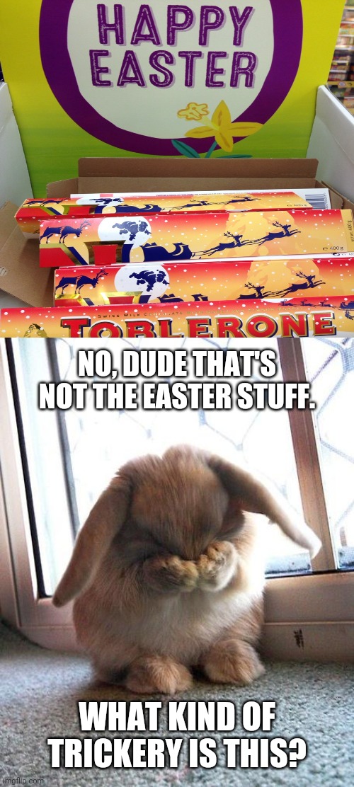 Wrong stuff on the Happy Easter section | NO, DUDE THAT'S NOT THE EASTER STUFF. WHAT KIND OF TRICKERY IS THIS? | image tagged in embarrassed bunny,you had one job,happy easter,easter,memes,meme | made w/ Imgflip meme maker