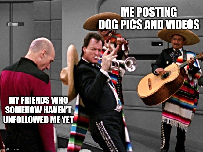 Dog post loyal friends | ME POSTING DOG PICS AND VIDEOS; MY FRIENDS WHO SOMEHOW HAVEN'T UNFOLLOWED ME YET | image tagged in q playing trumpet in star trek,dogs,funny,memes,dog posts | made w/ Imgflip meme maker