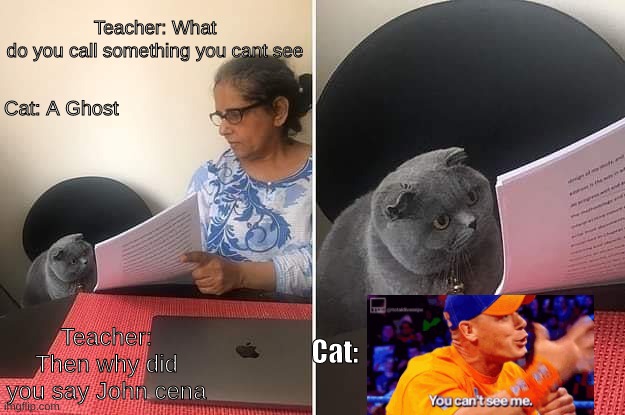 Woman showing paper to cat | Cat: A Ghost; Teacher: What do you call something you cant see; Cat:; Teacher: Then why did you say John cena | image tagged in woman showing paper to cat | made w/ Imgflip meme maker