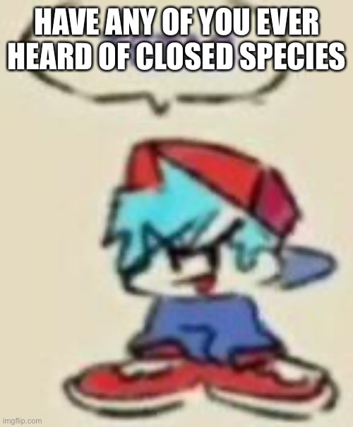 Beep | HAVE ANY OF YOU EVER HEARD OF CLOSED SPECIES | image tagged in beep | made w/ Imgflip meme maker