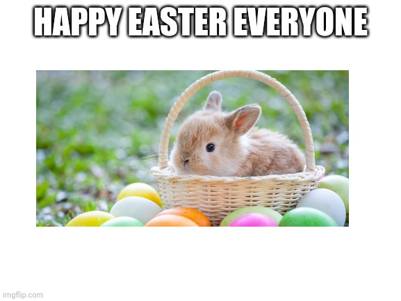 Happy easter! | HAPPY EASTER EVERYONE | image tagged in easter,memes | made w/ Imgflip meme maker