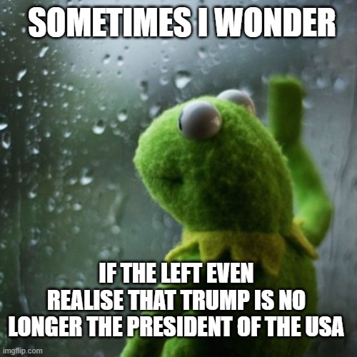 sometimes I wonder  | SOMETIMES I WONDER; IF THE LEFT EVEN REALISE THAT TRUMP IS NO LONGER THE PRESIDENT OF THE USA | image tagged in sometimes i wonder | made w/ Imgflip meme maker