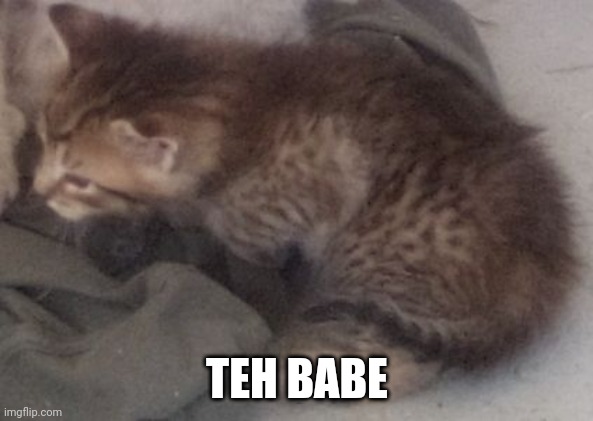 TEH BABE | made w/ Imgflip meme maker