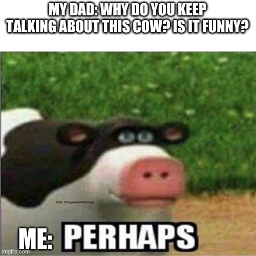 perhaps | MY DAD: WHY DO YOU KEEP TALKING ABOUT THIS COW? IS IT FUNNY? ME: | image tagged in perhaps cow | made w/ Imgflip meme maker