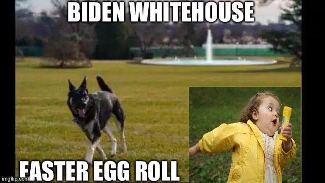 Biden Easter | BIDEN WHITEHOUSE; EASTER EGG ROLL | image tagged in joe biden,easter,dogs,major | made w/ Imgflip meme maker
