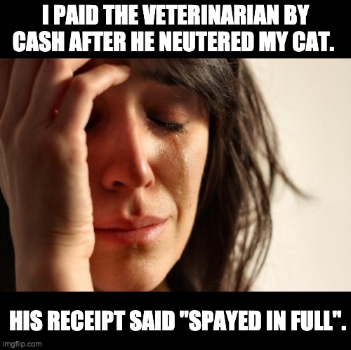 Spayed | I PAID THE VETERINARIAN BY CASH AFTER HE NEUTERED MY CAT. HIS RECEIPT SAID "SPAYED IN FULL". | image tagged in memes,first world problems | made w/ Imgflip meme maker