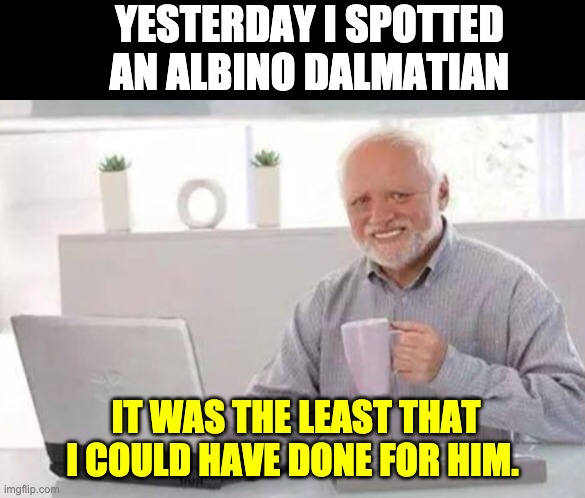 Dalmatian | YESTERDAY I SPOTTED AN ALBINO DALMATIAN; IT WAS THE LEAST THAT I COULD HAVE DONE FOR HIM. | image tagged in harold | made w/ Imgflip meme maker