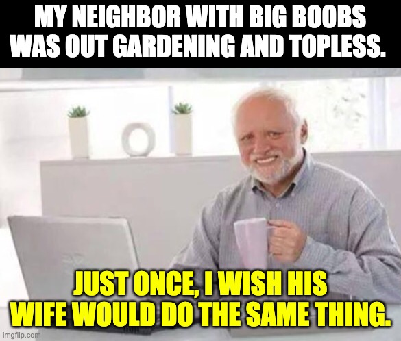 Topless | MY NEIGHBOR WITH BIG BOOBS WAS OUT GARDENING AND TOPLESS. JUST ONCE, I WISH HIS WIFE WOULD DO THE SAME THING. | image tagged in harold | made w/ Imgflip meme maker