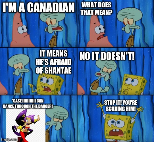 i've got a feeling that shantae is underrated to a point where i'm the only one in my town who knows shantae | WHAT DOES THAT MEAN? I'M A CANADIAN; IT MEANS HE'S AFRAID OF SHANTAE; NO IT DOESN'T! STOP IT! YOU'RE SCARING HIM! 'CASE IIIIIIIIIII CAN DANCE THROUGH THE DANGER! | image tagged in stop it patrick you're scaring him correct text boxes,shantae | made w/ Imgflip meme maker