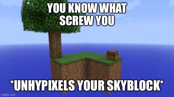 YOU KNOW WHAT
SCREW YOU; *UNHYPIXELS YOUR SKYBLOCK* | made w/ Imgflip meme maker