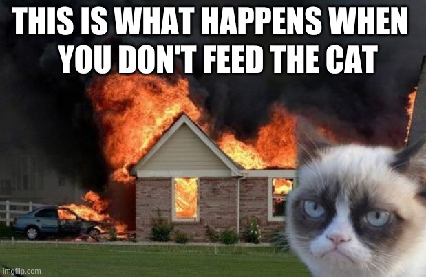 grumpy cat | THIS IS WHAT HAPPENS WHEN; YOU DON'T FEED THE CAT | image tagged in memes,burn kitty,grumpy cat,grumpy | made w/ Imgflip meme maker