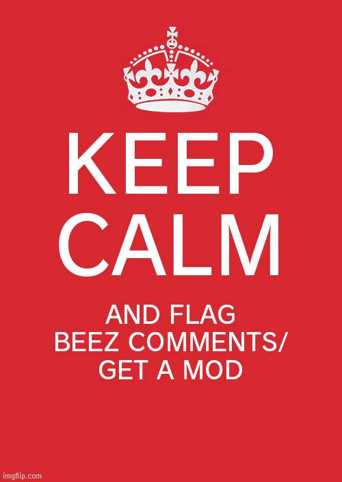 We don't need a commenting fake | KEEP CALM; AND FLAG BEEZ COMMENTS/ GET A MOD | image tagged in memes,keep calm and carry on red,fake | made w/ Imgflip meme maker