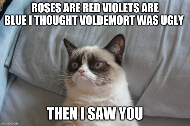 grumpy cat | ROSES ARE RED VIOLETS ARE BLUE I THOUGHT VOLDEMORT WAS UGLY; THEN I SAW YOU | image tagged in memes,grumpy cat bed,grumpy cat | made w/ Imgflip meme maker