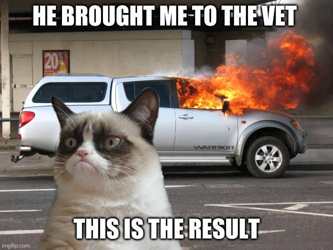 grumpy cat | HE BROUGHT ME TO THE VET; THIS IS THE RESULT | image tagged in grumpy cat car on fire,grumpy cat,grumpy stuff,cats | made w/ Imgflip meme maker