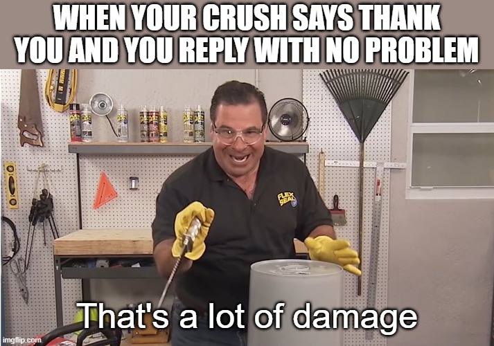 Phil Swift That's A Lotta Damage (Flex Tape/Seal) | WHEN YOUR CRUSH SAYS THANK YOU AND YOU REPLY WITH NO PROBLEM; That's a lot of damage | image tagged in phil swift that's a lotta damage flex tape/seal | made w/ Imgflip meme maker