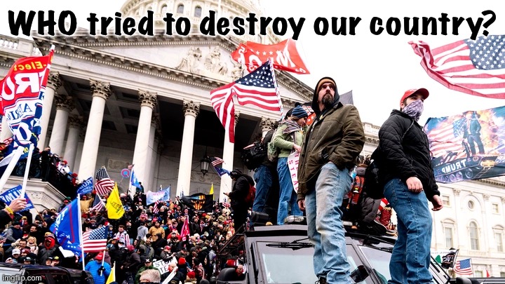 Capitol Riot | WHO tried to destroy our country? | image tagged in capitol riot | made w/ Imgflip meme maker