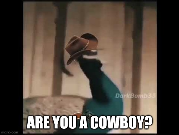 YEEEHHAAAWWW | ARE YOU A COWBOY? | image tagged in funny memes | made w/ Imgflip meme maker