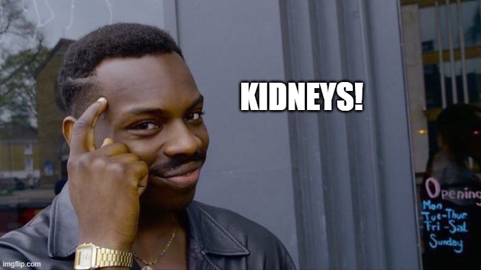 I've got Smarts! | KIDNEYS! | image tagged in memes | made w/ Imgflip meme maker