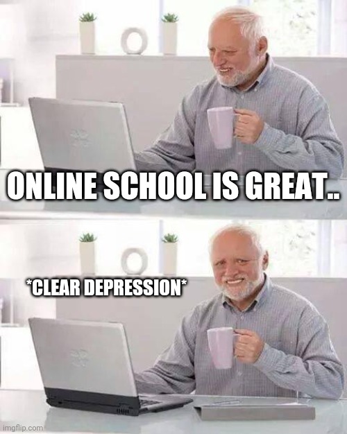 Why | ONLINE SCHOOL IS GREAT.. *CLEAR DEPRESSION* | image tagged in memes,hide the pain harold | made w/ Imgflip meme maker