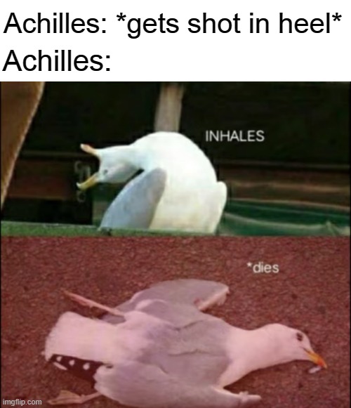 I like mythology | Achilles: *gets shot in heel*; Achilles: | image tagged in seagull dies,mythology,achilles,heel,achilles heel | made w/ Imgflip meme maker