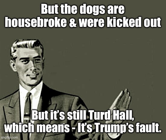 Nope | But the dogs are housebroke & were kicked out But it’s still Turd Hall, which means - It’s Trump’s fault. | image tagged in nope | made w/ Imgflip meme maker