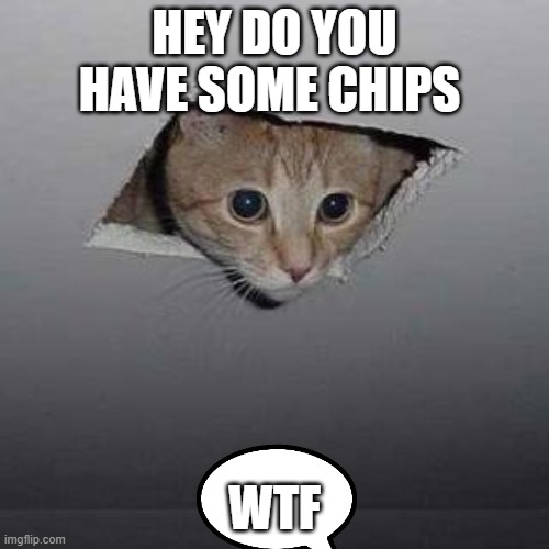 i want chips! | HEY DO YOU HAVE SOME CHIPS; WTF | image tagged in memes,ceiling cat | made w/ Imgflip meme maker