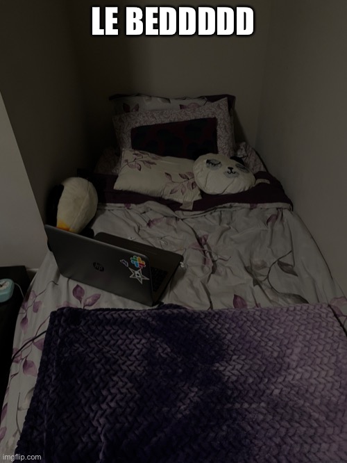 IDKKK WHY IM POSTING MY BED BUT BEDDDDDD | LE BEDDDDD | made w/ Imgflip meme maker