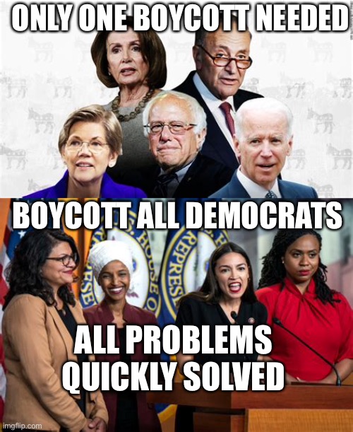 Boycott All Democrats | ONLY ONE BOYCOTT NEEDED; BOYCOTT ALL DEMOCRATS; ALL PROBLEMS QUICKLY SOLVED | image tagged in democrat leaders,democrats,losers,liars | made w/ Imgflip meme maker