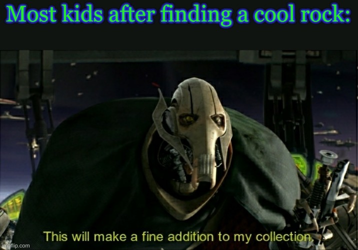 I had a collection but I lost it, so I'm making a new one | Most kids after finding a cool rock: | image tagged in this will make a fine addition to my collection | made w/ Imgflip meme maker