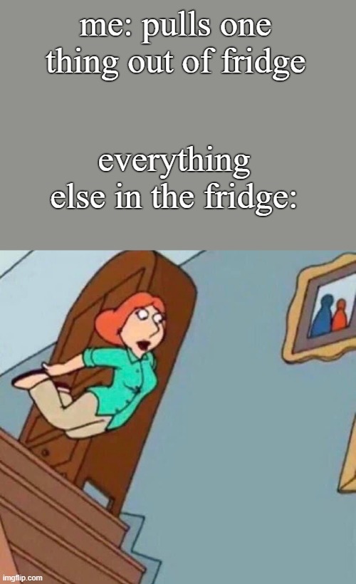 Lois Bellyflop | me: pulls one thing out of fridge; everything else in the fridge: | image tagged in lois bellyflop | made w/ Imgflip meme maker
