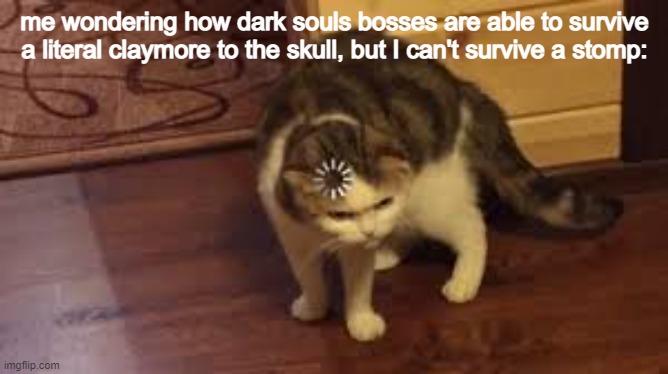 loading cat |  me wondering how dark souls bosses are able to survive a literal claymore to the skull, but I can't survive a stomp: | image tagged in loading cat | made w/ Imgflip meme maker