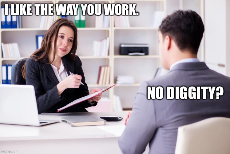 1990s performance reviews | I LIKE THE WAY YOU WORK. NO DIGGITY? | image tagged in work | made w/ Imgflip meme maker