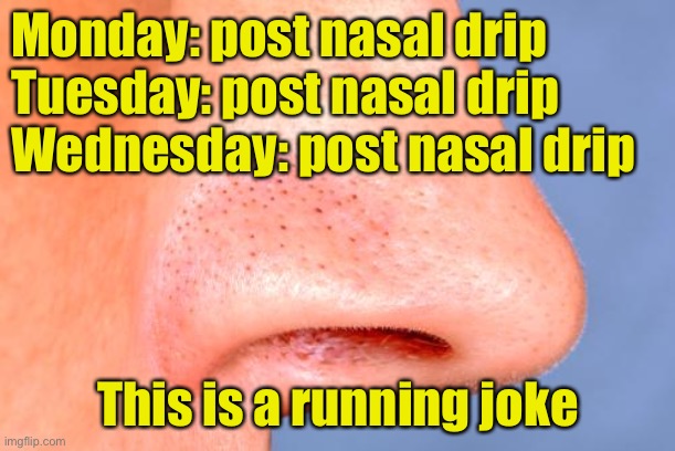 A nose running joke | Monday: post nasal drip
Tuesday: post nasal drip
Wednesday: post nasal drip; This is a running joke | image tagged in nose,bad pun | made w/ Imgflip meme maker