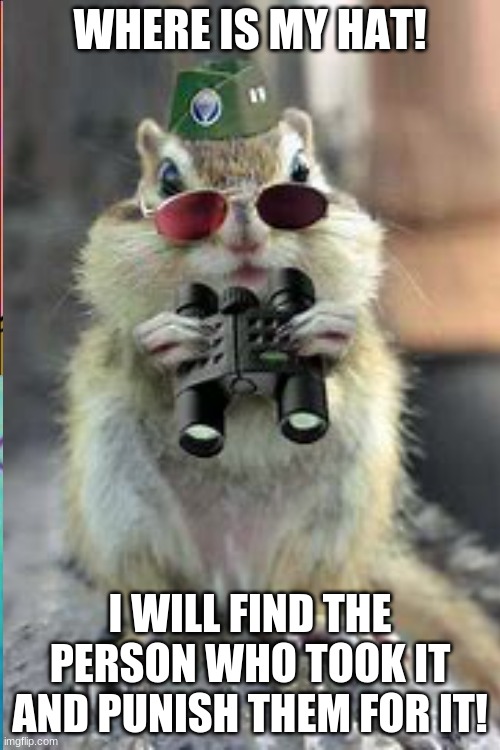 Hilarious squirrel and the case of his missing hat | WHERE IS MY HAT! I WILL FIND THE PERSON WHO TOOK IT AND PUNISH THEM FOR IT! | image tagged in funny memes | made w/ Imgflip meme maker