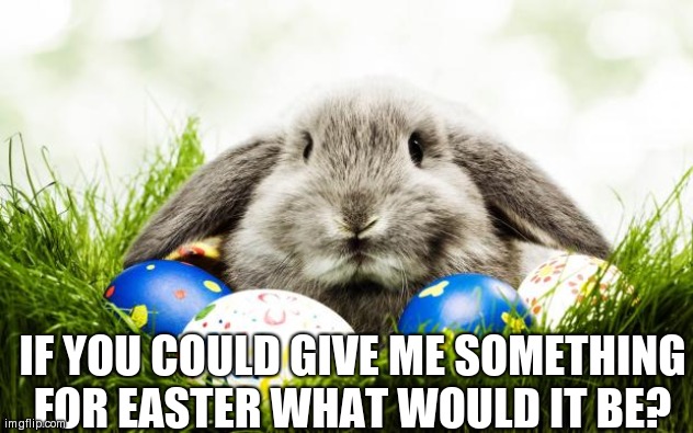 Starting a minitrend | IF YOU COULD GIVE ME SOMETHING FOR EASTER WHAT WOULD IT BE? | image tagged in easter bunny | made w/ Imgflip meme maker
