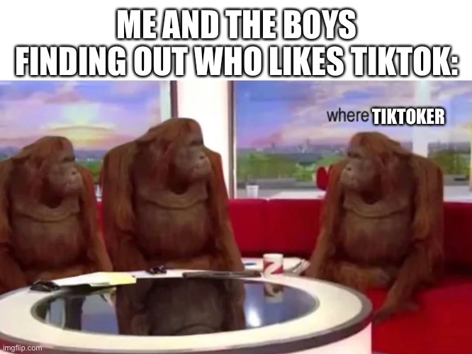 Monkey where | ME AND THE BOYS FINDING OUT WHO LIKES TIKTOK: TIKTOKER | image tagged in monkey where | made w/ Imgflip meme maker
