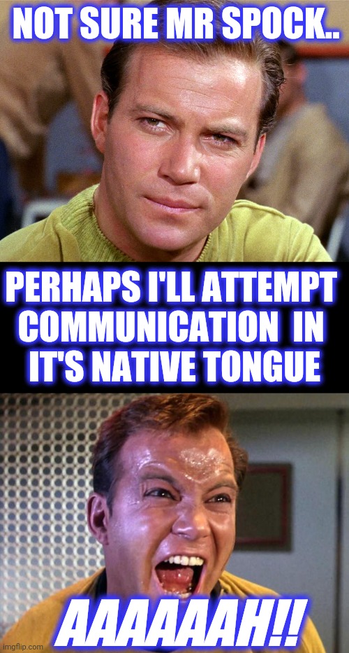 NOT SURE MR SPOCK.. PERHAPS I'LL ATTEMPT 
COMMUNICATION  IN 
IT'S NATIVE TONGUE AAAAAAH!! | image tagged in captain kirk screaming | made w/ Imgflip meme maker