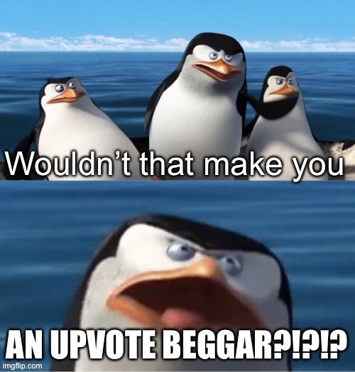 Wouldn’t that make you | AN UPVOTE BEGGAR?!?!? | image tagged in wouldn t that make you | made w/ Imgflip meme maker