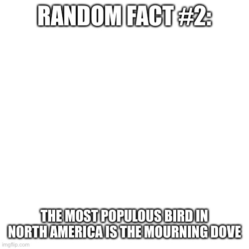 Coo | RANDOM FACT #2:; THE MOST POPULOUS BIRD IN NORTH AMERICA IS THE MOURNING DOVE | image tagged in memes,blank transparent square | made w/ Imgflip meme maker