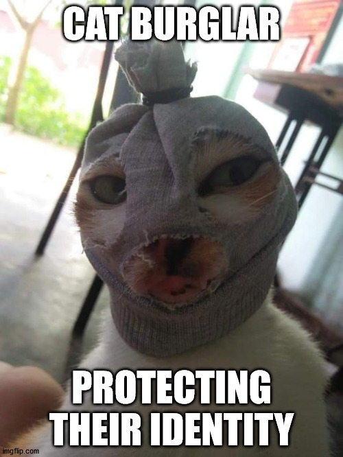 CAT BURGLAR; PROTECTING THEIR IDENTITY | made w/ Imgflip meme maker