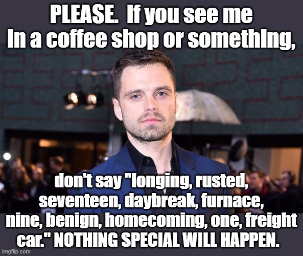 Sebastian Stan's burden nowadays | PLEASE.  If you see me in a coffee shop or something, don't say "longing, rusted, seventeen, daybreak, furnace, nine, benign, homecoming, one, freight car." NOTHING SPECIAL WILL HAPPEN. | image tagged in winter soldier,mcu,marvel cinematic universe | made w/ Imgflip meme maker