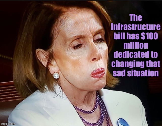 Nancy Pelosi PB Sandwich | The Infrastructure bill has $100 million dedicated to changing that sad situation | image tagged in nancy pelosi pb sandwich | made w/ Imgflip meme maker